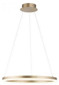 Paul Neuhaus 2382-60 - LED Stmievateľný luster na lanku TITUS LED/38,5W/230V