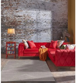 Sivý koberec 80x160 cm Lori – FD