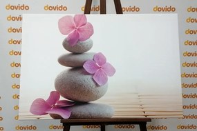 Obraz balans kameňov a ružové orientálne kvety - 120x80