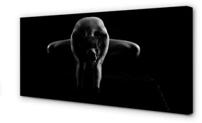 Obraz canvas Žena čiernej a bielej 125x50 cm