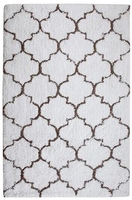 Koberec Shaggy Appleton 1,6/2,3 PSR-13552