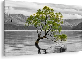 Obraz stromu uprostred jazera (90x60 cm)