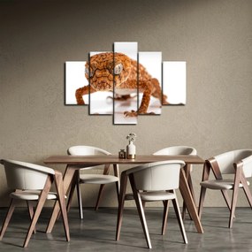 Obraz jašterice (150x105 cm)