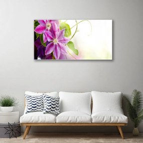 Obraz plexi Kvety príroda 100x50 cm