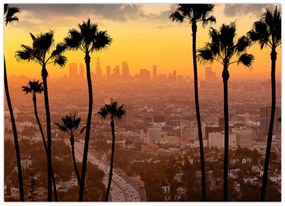 Obraz - Panorama Los Angeles (70x50 cm)