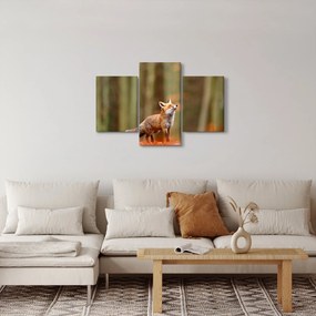 Obraz - Líška (90x60 cm)