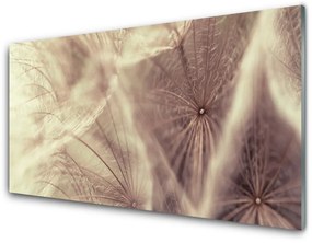 Skleneny obraz Púpava rastlina 100x50 cm