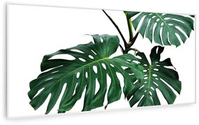 Wonderwall Air Art Smart, infračervený ohrievač, 120 x 60 cm, 700 W, zelený list