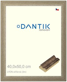 DANTIK rám na obraz 40x50 | LYON stříbrná (Plexi Čiré)