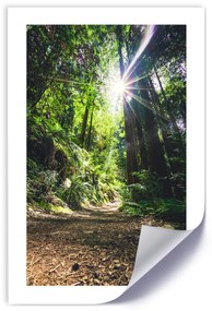 Gario Plagát Cesta v hustom lese Farba rámu: Bez rámu, Veľkosť: 30 x 45 cm