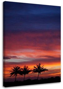 Obraz na plátně Palmy Západ slunce Moře - 60x90 cm