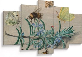 Obraz - Jan van Kessel the Elder, Insects and a Sprig of Rosemary, reprodukcia (150x105 cm)
