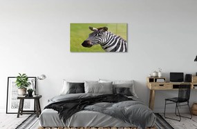 Sklenený obraz zebra 140x70 cm