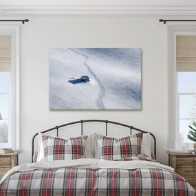 Obraz zasnežená krajina s chalúpkou