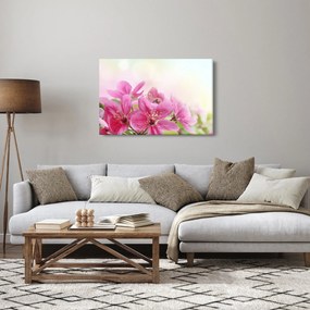 Obraz - Ružové kvety (90x60 cm)