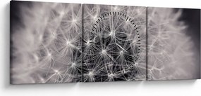 Obraz púpavy (s hodinami) (90x30 cm)