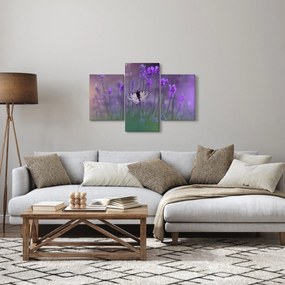 Obraz - Motýľ v levanduli (90x60 cm)