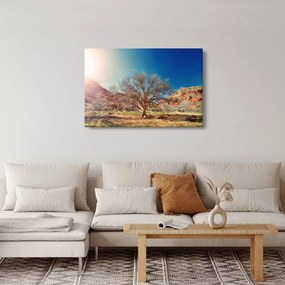 Obraz stromu v púšti (90x60 cm)