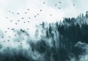 Fototapeta - Vtáky v hmle (152,5x104 cm)