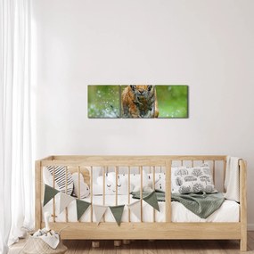 Obraz - Bežiaci tiger (s hodinami) (90x30 cm)