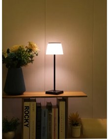 Immax 08492L - LED Stmievateľná vonkajšia solárna lampa LED/4W/5V IP44