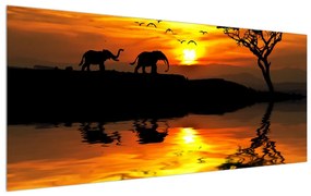 Obraz africkej krajiny so slonom (120x50 cm)