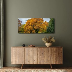Obraz stromu (120x50 cm)
