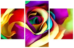 Farebný obraz abstraktnej ruže (90x60 cm)