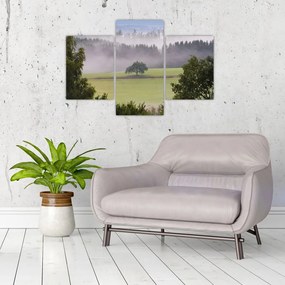 Obraz lúky so stromom (90x60 cm)