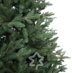 Smrek Kanadský 100% 180 cm