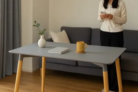 Jedálenský stôl MODE sivý FAT7851