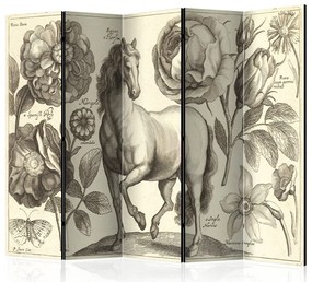 Artgeist Paraván - Horse II [Room Dividers]
