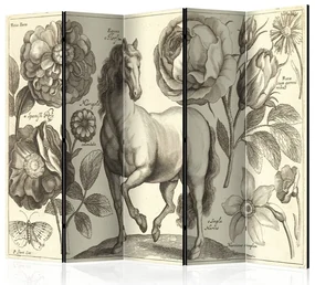 Artgeist Paraván - Horse II [Room Dividers]