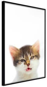 Artgeist Plagát - Vexed Cat [Poster] Veľkosť: 40x60, Verzia: Zlatý rám s passe-partout