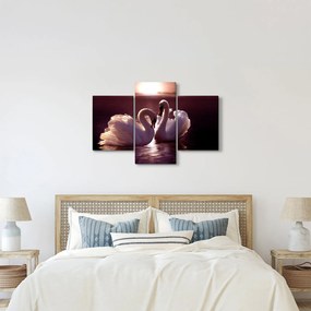 Obraz - Labute na jazere (90x60 cm)