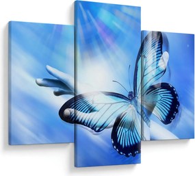 Obraz - Motýľ, symbol nádeje (90x60 cm)