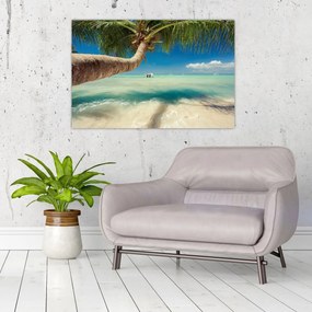 Obraz - Čisté more s palmou (90x60 cm)