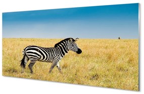 Sklenený obraz Zebra box 125x50 cm