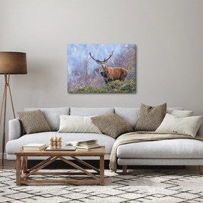 Obraz - Jeleň v krajine (70x50 cm)