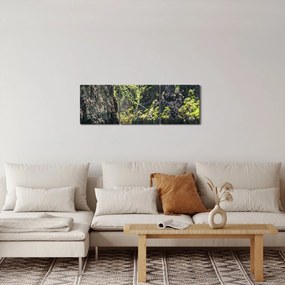 Obraz horskej rieky (s hodinami) (90x30 cm)