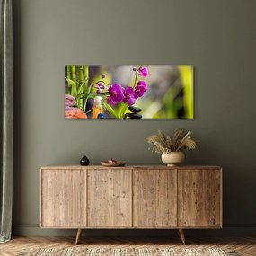 Obraz - spa and stones (120x50 cm)