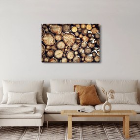 Obraz - Drevo v snehu (90x60 cm)