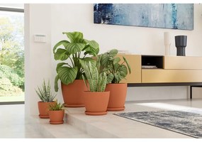 Miska pod kvetináč z terakoty ø 17 cm – Artevasi