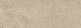 Obklad Dome Nut 30x90 R