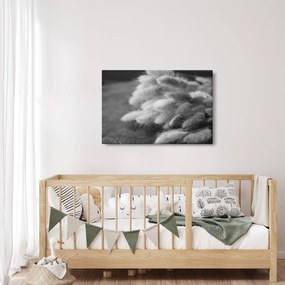 Obraz - bunny tail grass na stole (90x60 cm)