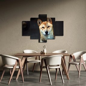 Obraz psa (150x105 cm)