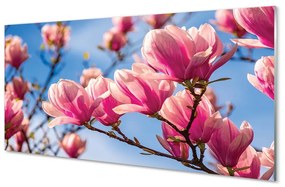 Sklenený obraz kvety 140x70 cm