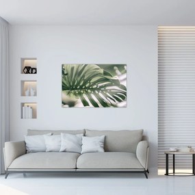 Obraz - List monštier (90x60 cm)