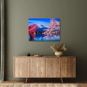 Sklenený obraz - Výhľad na vrchol, Japonsko (70x50 cm)