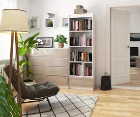 Regál R60 1SZ 4P CLP biely / cappuccino lesk
